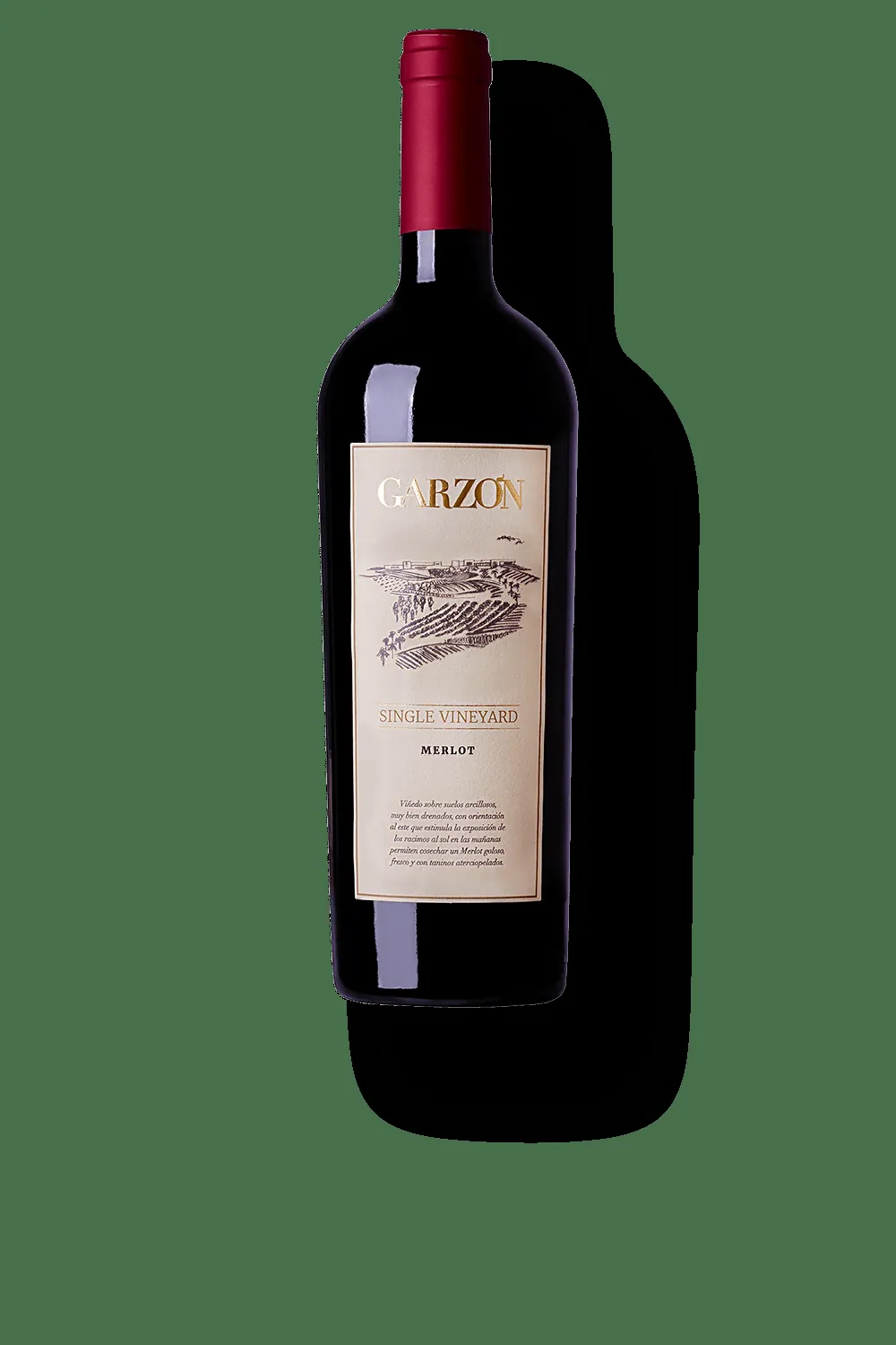 Garzón Single Vineyard Merlot — Foto: Reprodução