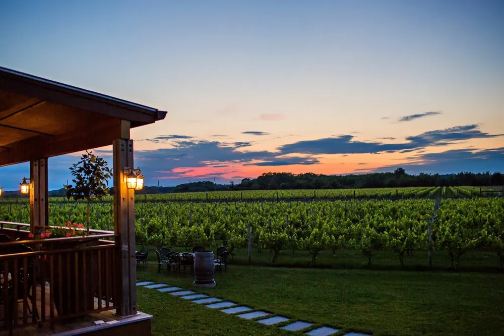Macari Vineyards em Mattituck — Foto: Divulgação