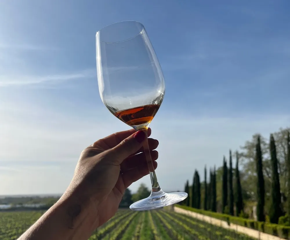 Moscatél de Setúbal — Foto: Acervo pessoal