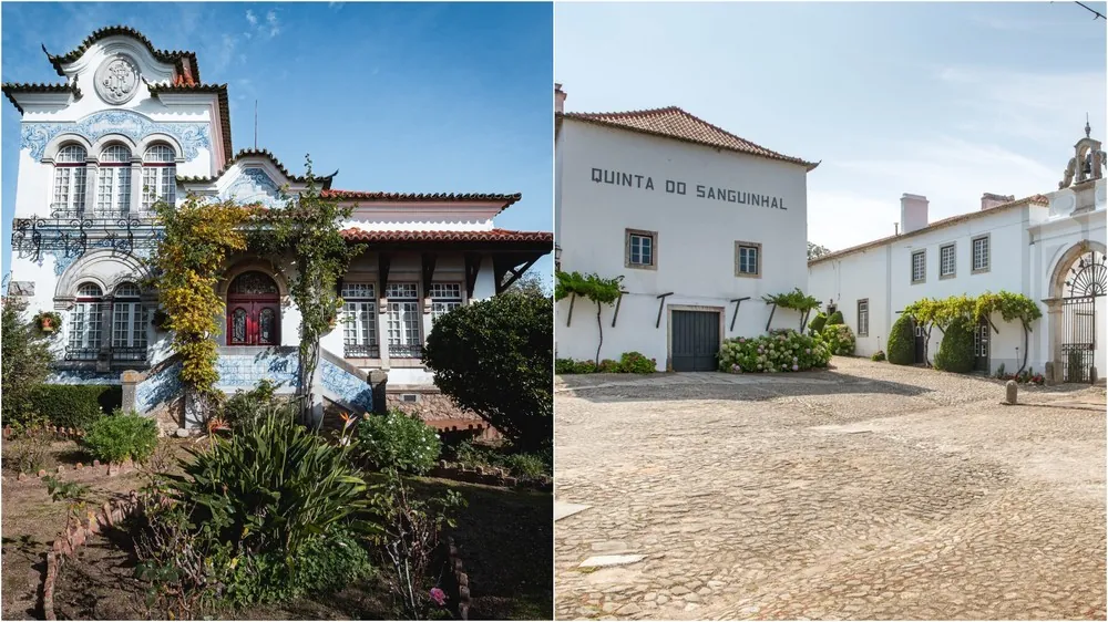 Quinta das Cerejeiras e Quinta do Sanguinhal, em Portugal — Foto: Divulgação